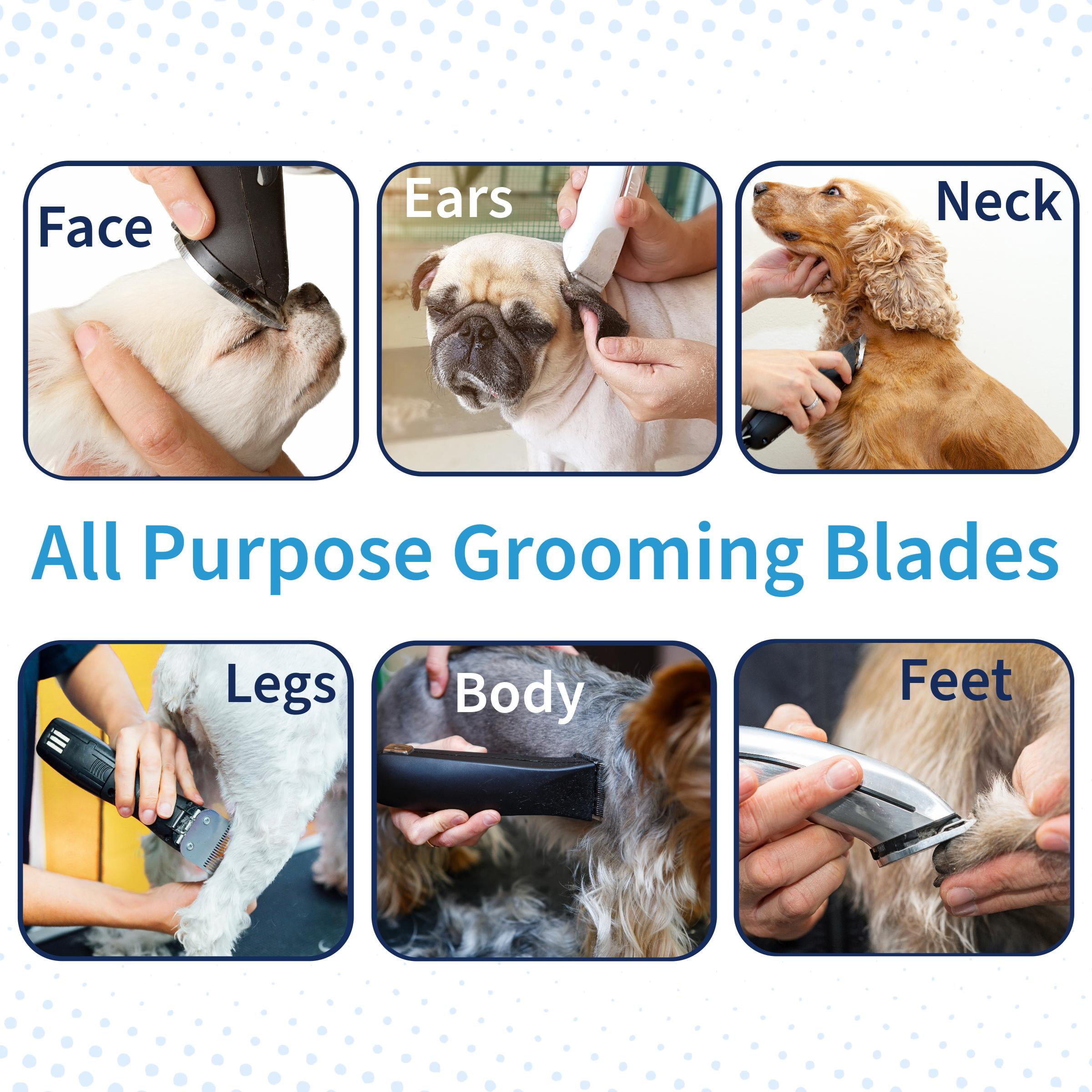 Bucchelli Detachable A Series Wide 5f Blade Dog Grooming Cuts length 1/4" - 6.4mm Japanese High Carbon Steel Wide 6.4 mm clipper blade 5f | Detachable Blade Clippers (Compatible A5 Series(B5FW) 3 f4ca6a70 5934 4584 a227 2c48ca408fc1.02cb1504d538e9d90e0b4502c3b74906 - easyishop.co.uk