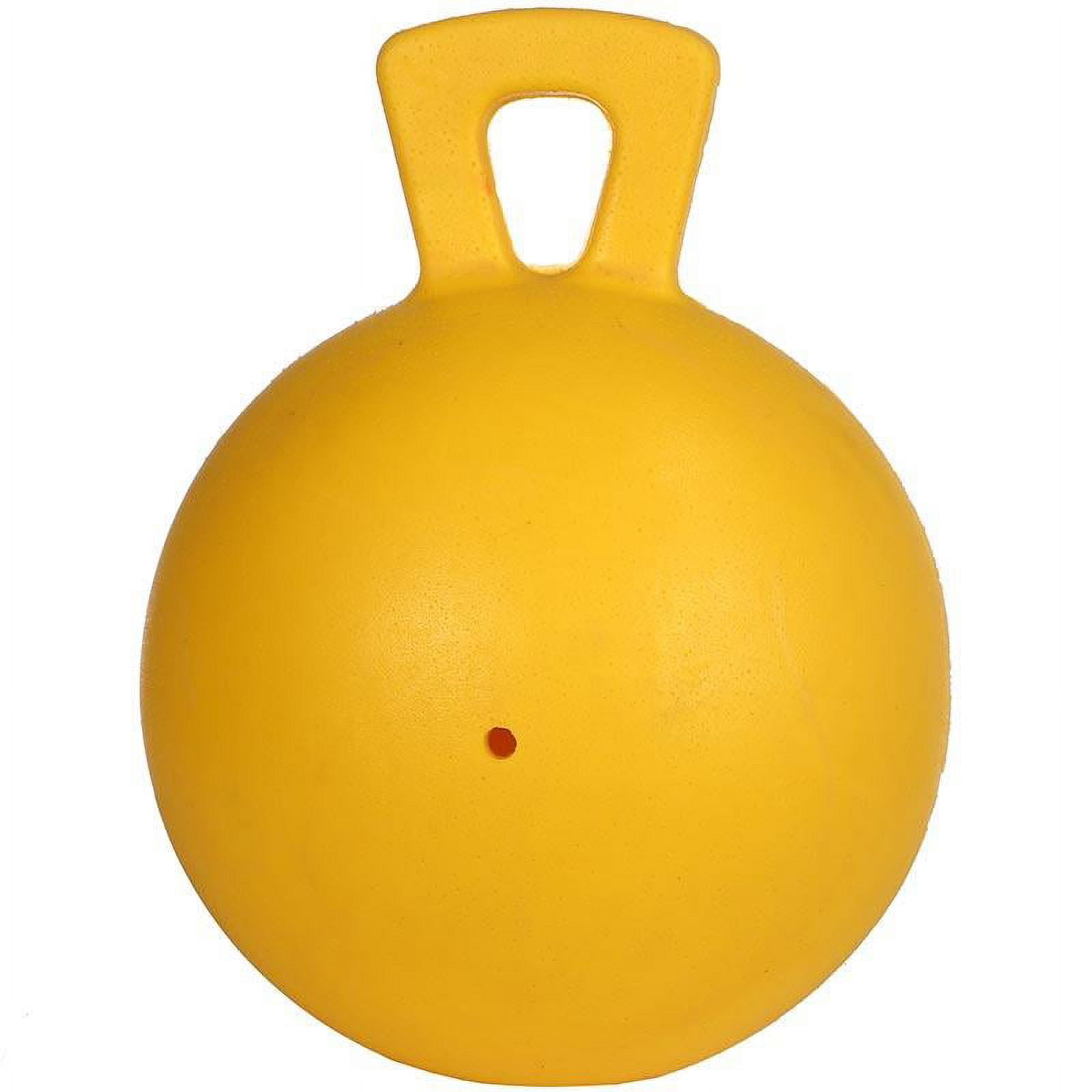 Jolly Pets 410P Tug-n-Toss Horse Jolly Ball™ for Dogs/Horses, 10", Peppermint 3 f542dbb1 127f 4219 908e c8b0e5f6b465.e30e5d65f0b5d58e6ef48ba3845b1104 - easyishop.co.uk