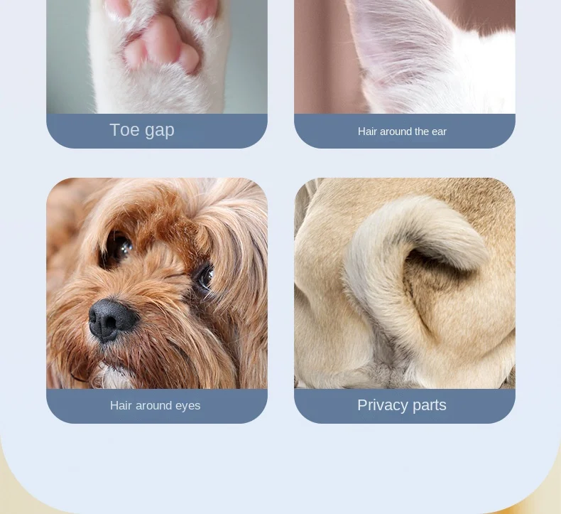 Electric Dog Cat Hair Clippers Ear Eyes Paw Hair Cutter Trimmer USB Charging Pet Grooming Supplies with Scissor 24 f70f47ce 4310 429d 84c6 b28da39f4616.c94de40a9207687e7f9209ac6dc2cb8f - easyishop.co.uk