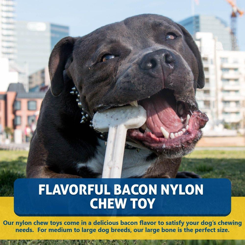 Bullibone Nylon Dog Chew Toy Nylon Bone - Improves Dental Hygiene, Easy to Grip Bottom, and Permeated with Flavor Bacon Small - 2 Pack 36 fa7287b8 824d 44a1 90f3 6310f5d1b39d.c76354d14bc6a6ddf72e0a698b59739c - easyishop.co.uk