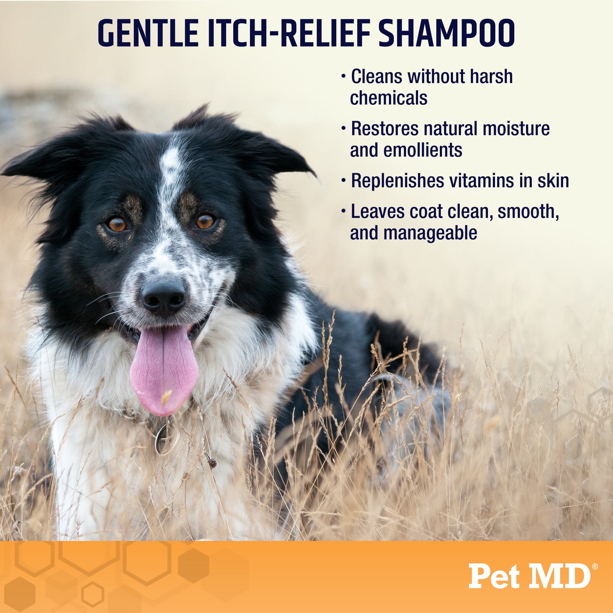 Pet MD Oatmeal & Aloe Shampoo for Dogs and Cats - Nourishing Anti Itch for Sensitive Dry Skin & Flaking - Professional Grooming & Moisturizing Dog Shampoo Gallon 2 fd45443f 4d19 483d ad0b d46a386558d4.ba080a8d1215af462e3ceda7ae709c76 - easyishop.co.uk