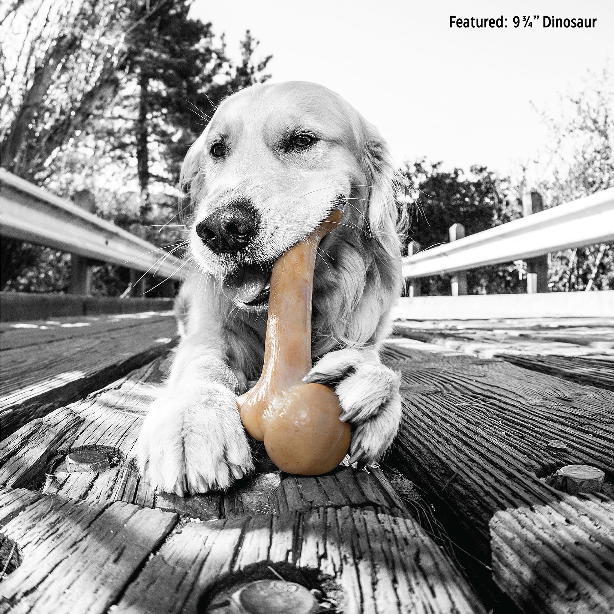 Pet Qwerks BarkBone Natural Instincts Bacon Infused Dinosaur Nylon Bone Dog Chew Toys for Aggressive Chewers - Real Bacon, Large 18 Pet Qwerks Dinosaur BarkBone Nylon Dog Bone for Aggressive Chewers Steak Flavor 6 5 e88f46ed 90b2 4fe2 a27e cab84f55b6de.49962c6b4bf999917cc6260e8cda2d72 - easyishop.co.uk