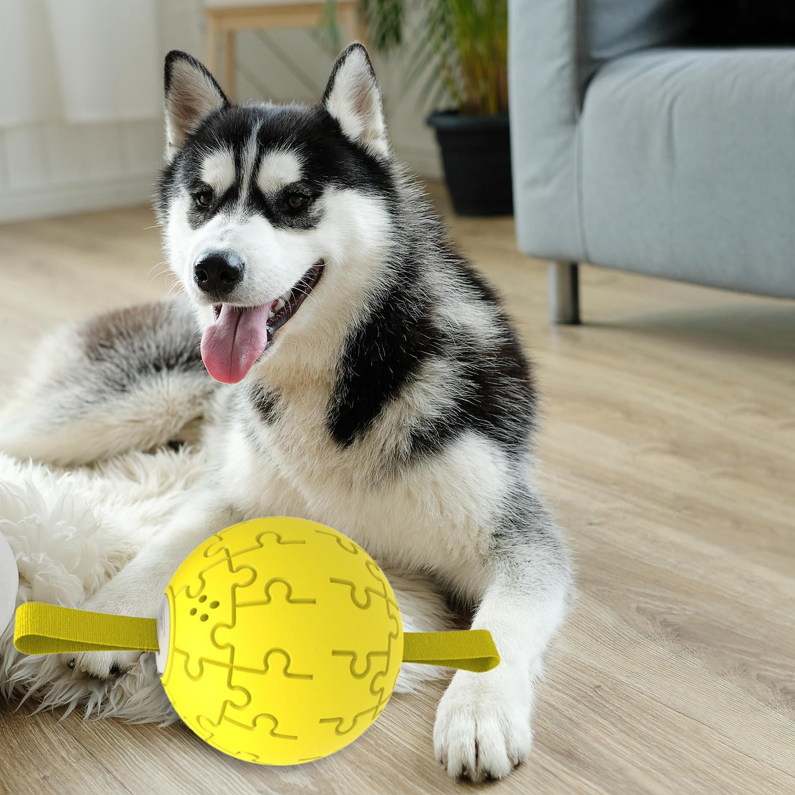 Squeaky Dog Chew Toy, Interactive Dog Toys Ball Training, Treat Dispenser Squeak Dog Toy for Running Playing Chewing Aggressive Chewers 1 Squeaky Dog Chew Toy Interactive Dog Toys Ball Training Treat Dispenser Squeak Dog Toy for Running Playing Chewing Aggressive Chewers f019cf90 a5bb 4663 b602 1a67eaac0641.f9c55102dd4084c192e440f4b566b99b - easyishop.co.uk